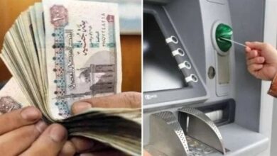 1000 جنيه.. حقيقة زيادة المعاشات في شهر يناير|تفاصيل