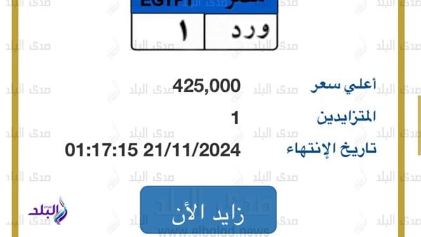 "و ر د - 1" .. لوحة سيارة مميزة بـ 425 ألف جنيه